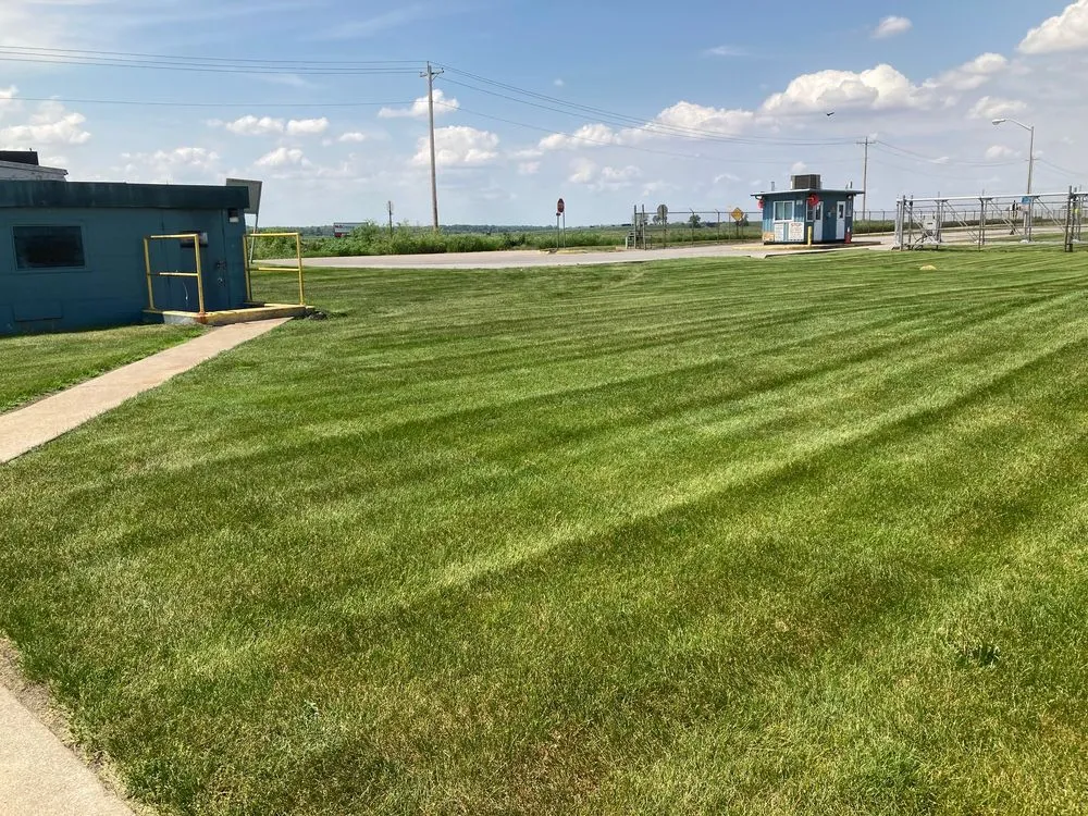 Trusted yard cleanup service in Niles, MI by Mr. Mow It All