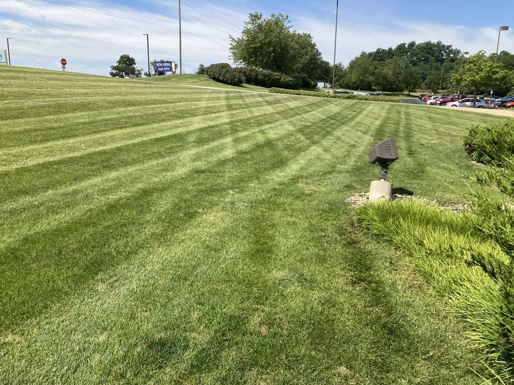 Professional lawn mowing service in Niles, MI - Mr. Mow It All