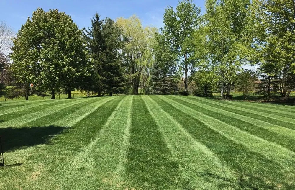 Reliable landscaping services for year-round maintenance in Lewiston, NY by Mr Mow
