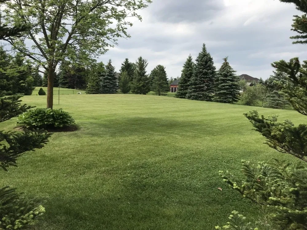 Reliable landscape design in Lewiston, NY - Mr Mow