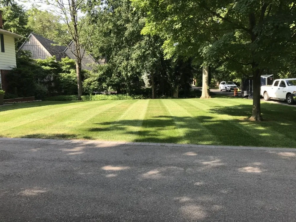 Professional garden landscaping in Lewiston, NY by Mr Mow