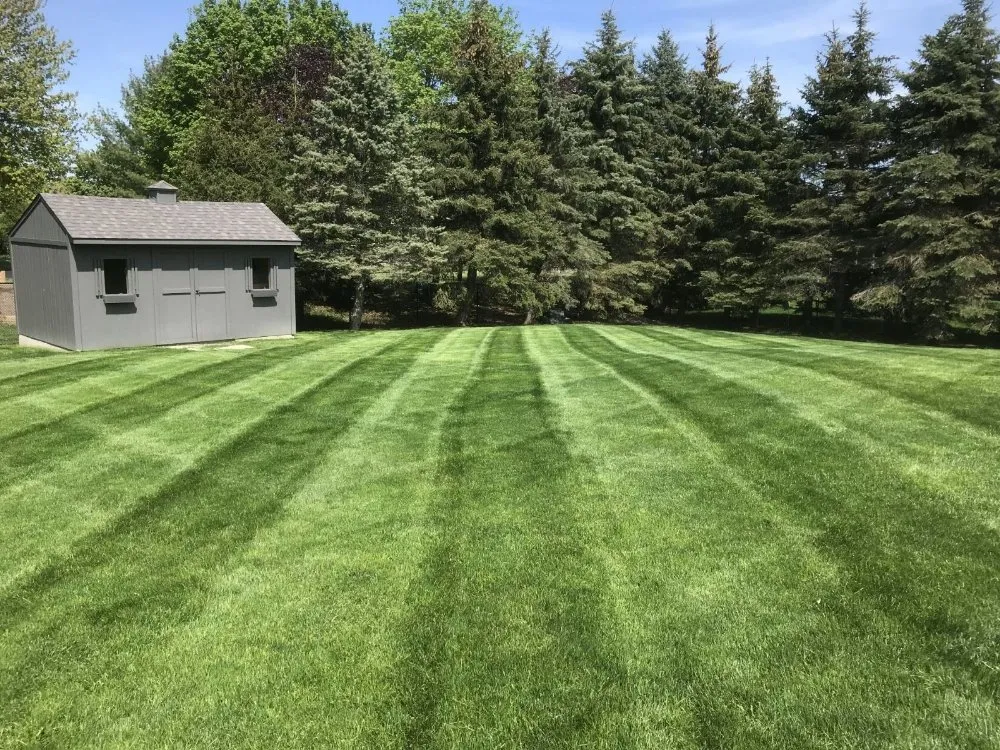 Custom landscape installation in Lewiston, NY - Mr Mow