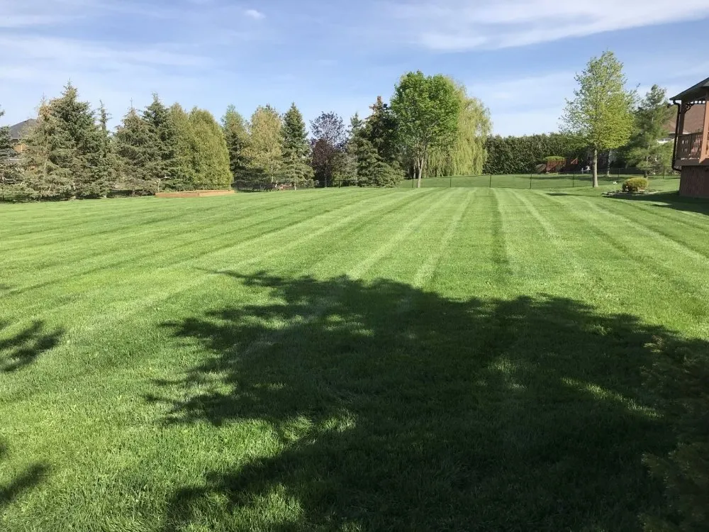 Affordable landscaping services with custom design in Lewiston, NY by Mr Mow