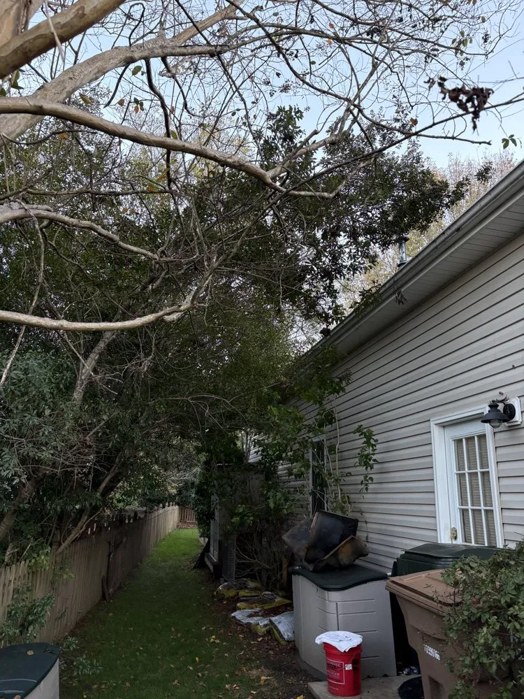 Professional lawn care service near you across Charlotte, NC - Mr. Mowbile Lawn Care