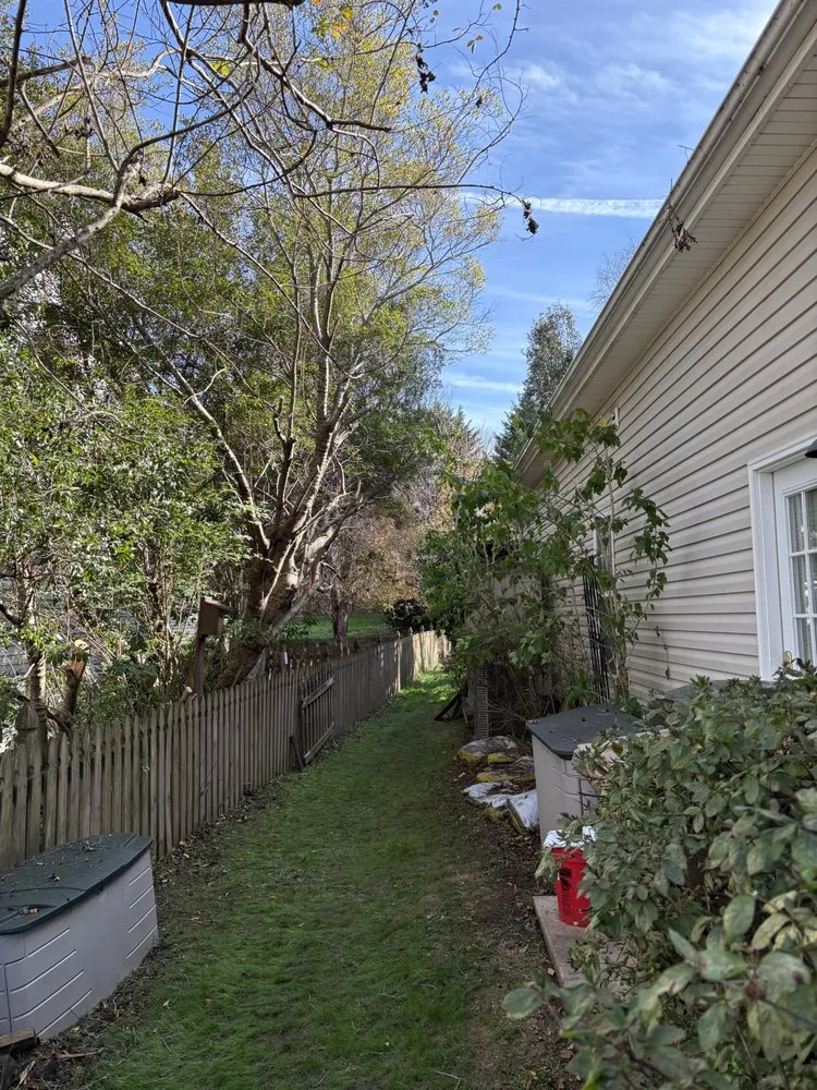 Reliable yard cleanup service in Charlotte, NC by Mr. Mowbile Lawn Care