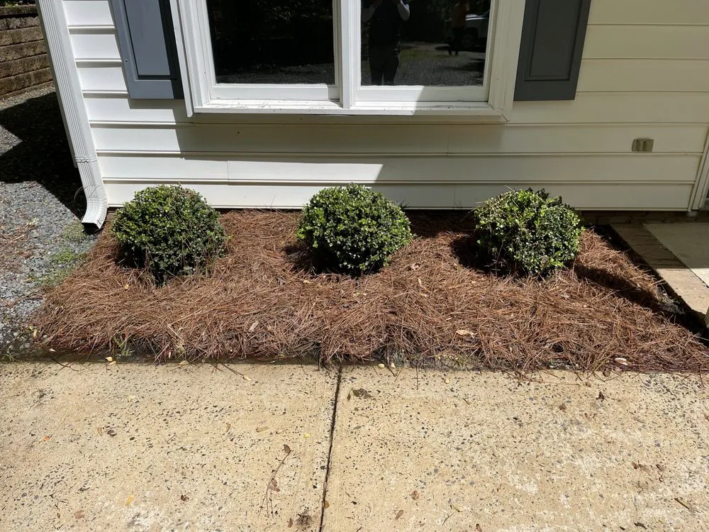 Expert landscaping services for homes across Charlotte, NC - Mr. Mowbile Lawn Care