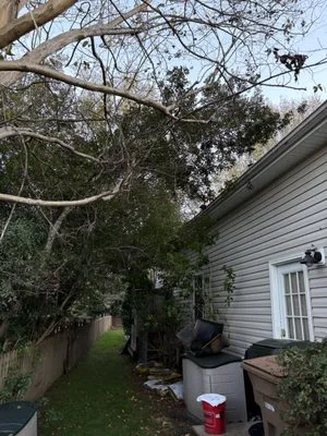 Mr. Mowbile Lawn Care Logo