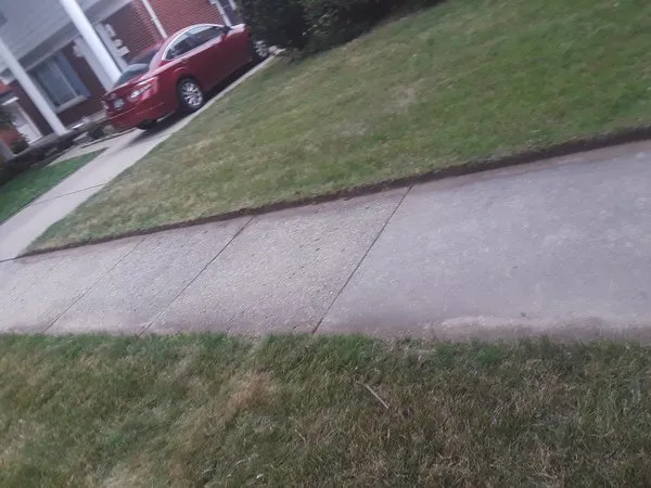 Professional yard cleanup service experts serving Dearborn, MI - Mr Mowers Lawn & Snow removal