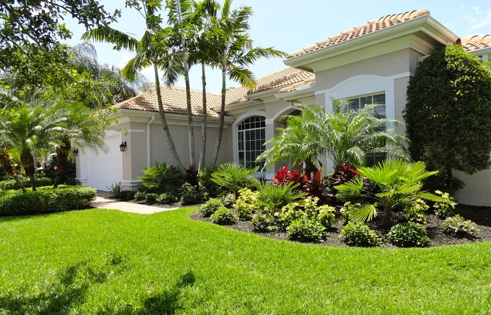 Trusted yard maintenance experts serving St. Petersburg, FL - M&R Mowing Pros