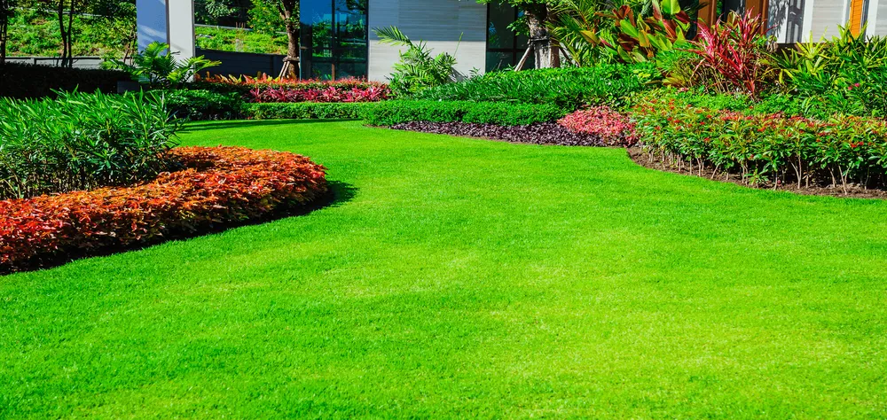 Reliable lawn mowing service with custom design across St. Petersburg, FL - M&R Mowing Pros