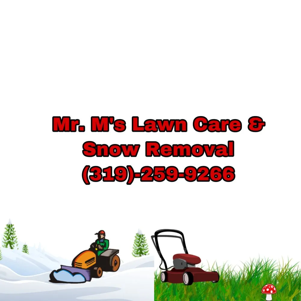 Trusted yard cleanup service in Iowa City, IA - Mr M's Lawn Care & Snow Removal