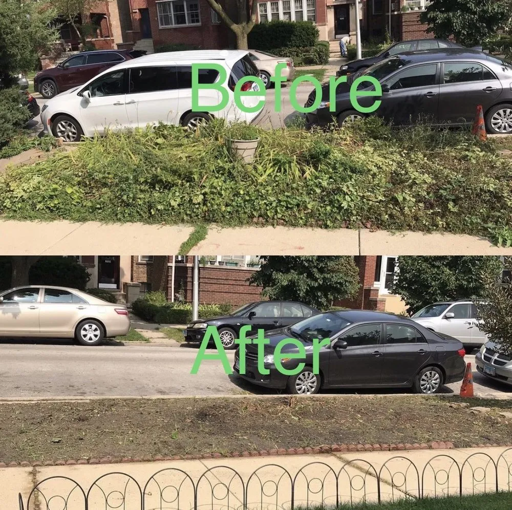 Custom landscaping services in Addison, IL - Mr M’s Mowing & Lawn Care Service