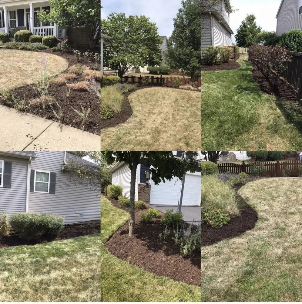 Trusted yard maintenance for residential properties in Addison, IL by Mr M’s Mowing & Lawn Care Service