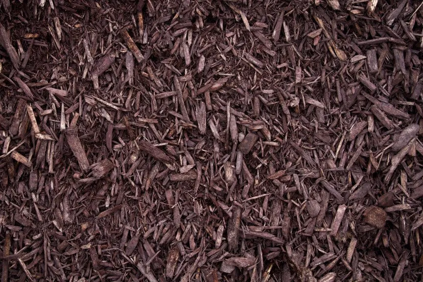 Reliable landscaping services for outdoor upgrades in Canton, OH by Mr. Mulch