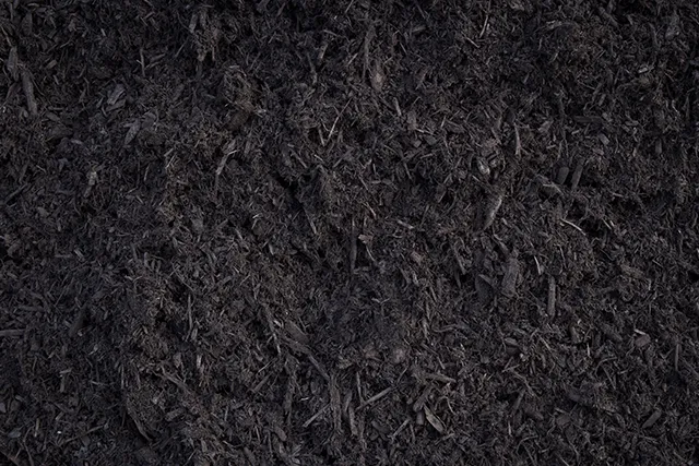 Top-rated landscape design for homes across Canton, OH - Mr. Mulch