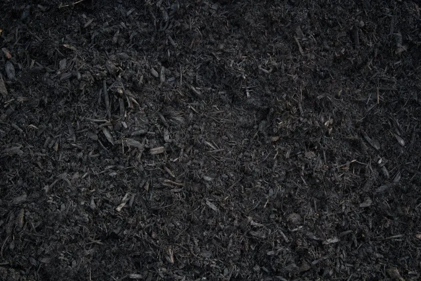 Trusted landscaping services for homes across Canton, OH - Mr. Mulch