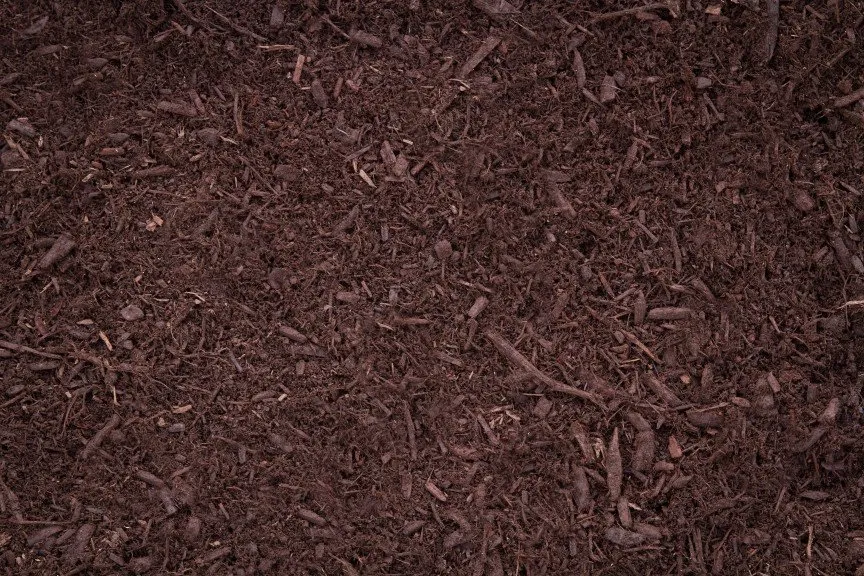 Trusted yard cleanup service near you across Canton, OH - Mr. Mulch