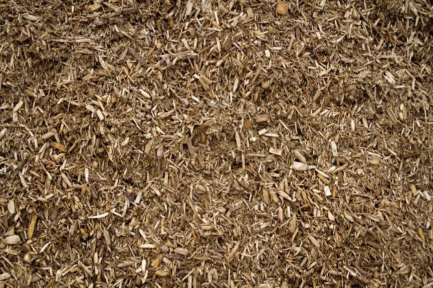 Reliable lawn mowing service near you in Canton, OH by Mr. Mulch