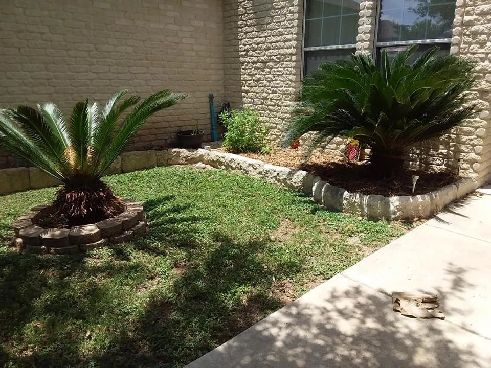 Affordable residential landscaping for residential properties in Kyle, TX by Mr. Nate's Yard Garden and More