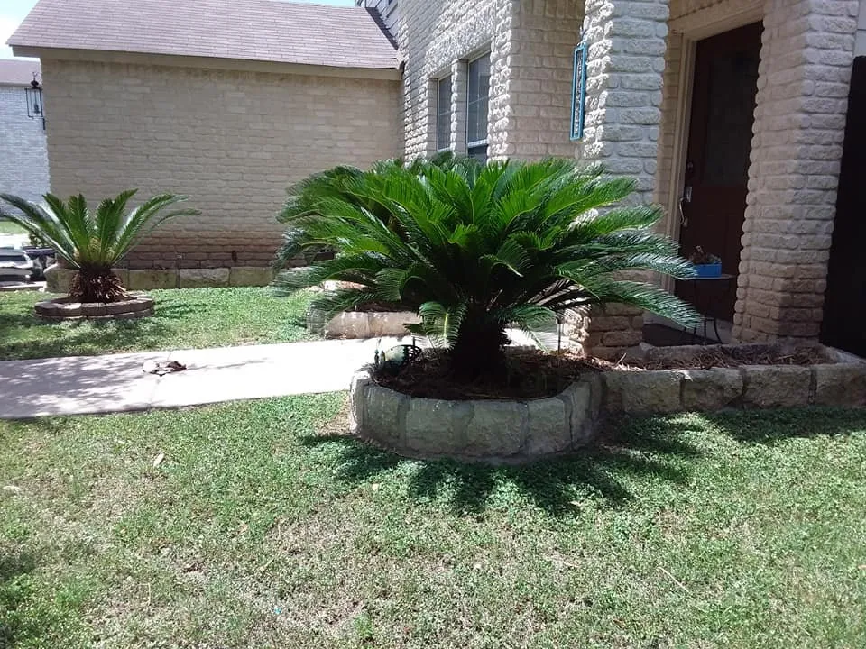 Affordable outdoor landscaping in Kyle, TX by Mr. Nate's Yard Garden and More