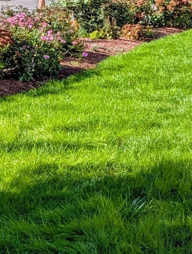 Reliable garden landscaping experts serving Medway, MA - Mr Natural Lawn Care