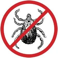 Trusted landscape design experts serving Park Ridge, NJ - Mr. Natural's Organic Lawn & Plant Care