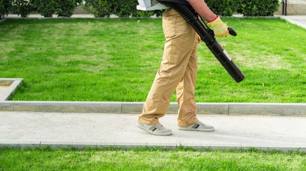 Local outdoor landscaping in Maynard, MA - Mr Oliveira Landscaping