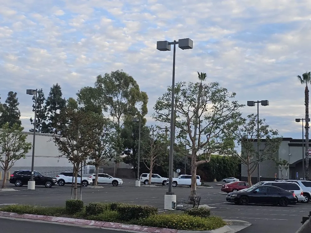 Affordable yard cleanup service in La Habra, CA - MR. Ortiz Landscaping