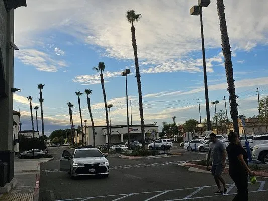 MR. Ortiz Landscaping Logo