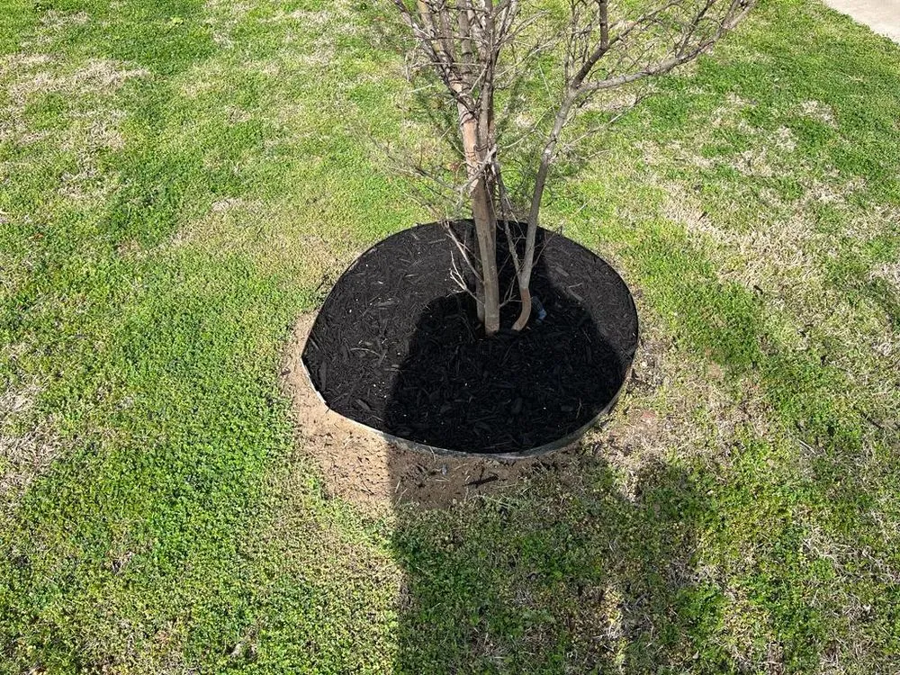 Custom landscaping services near you in Waxahachie, TX by Mr Ortiz Lawns