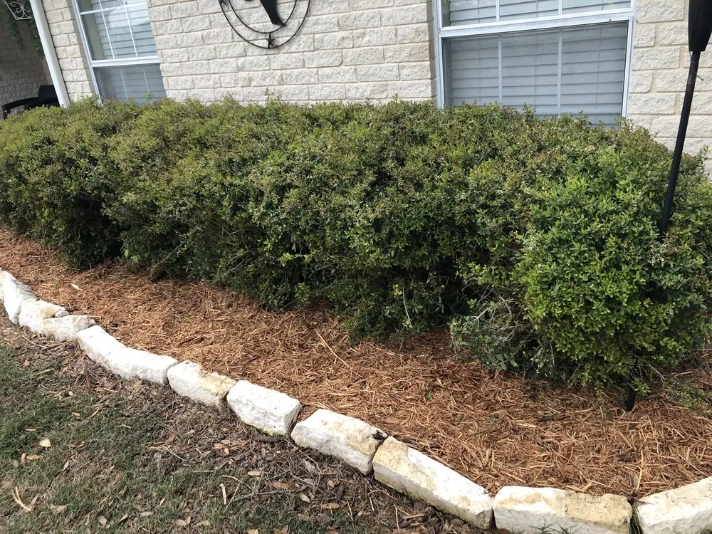 Expert lawn mowing service for outdoor upgrades in Waxahachie, TX by Mr Ortiz Lawns