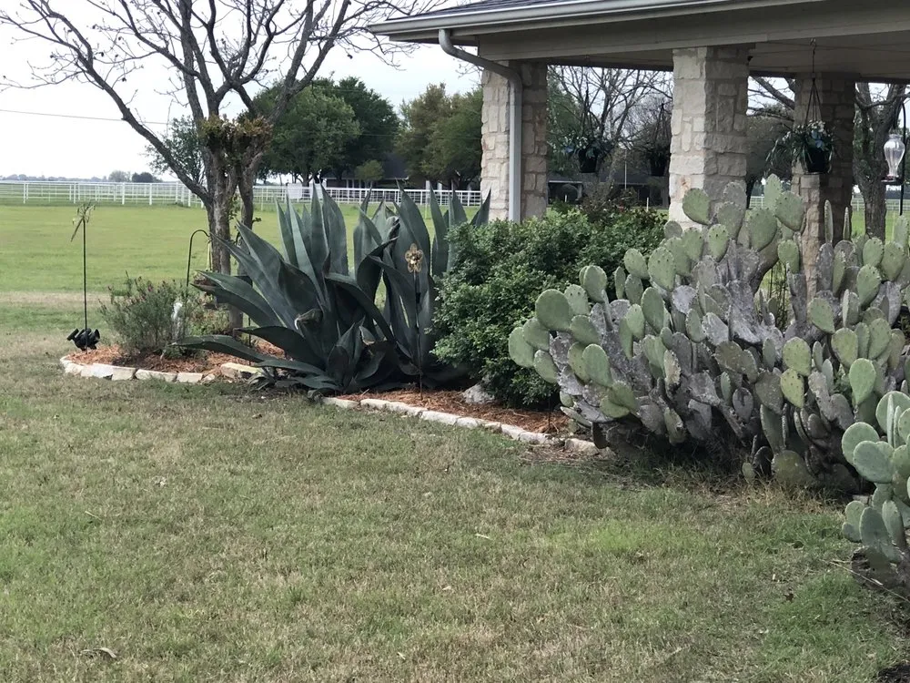 Custom landscape installation in Waxahachie, TX - Mr Ortiz Lawns