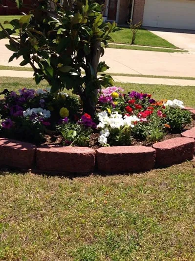 Professional lawn care service in Waxahachie, TX by Mr Ortiz Lawns