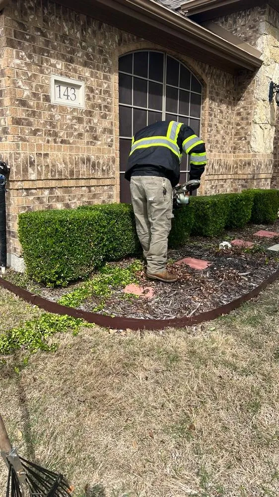 Affordable yard cleanup service experts serving Waxahachie, TX - Mr Ortiz Lawns