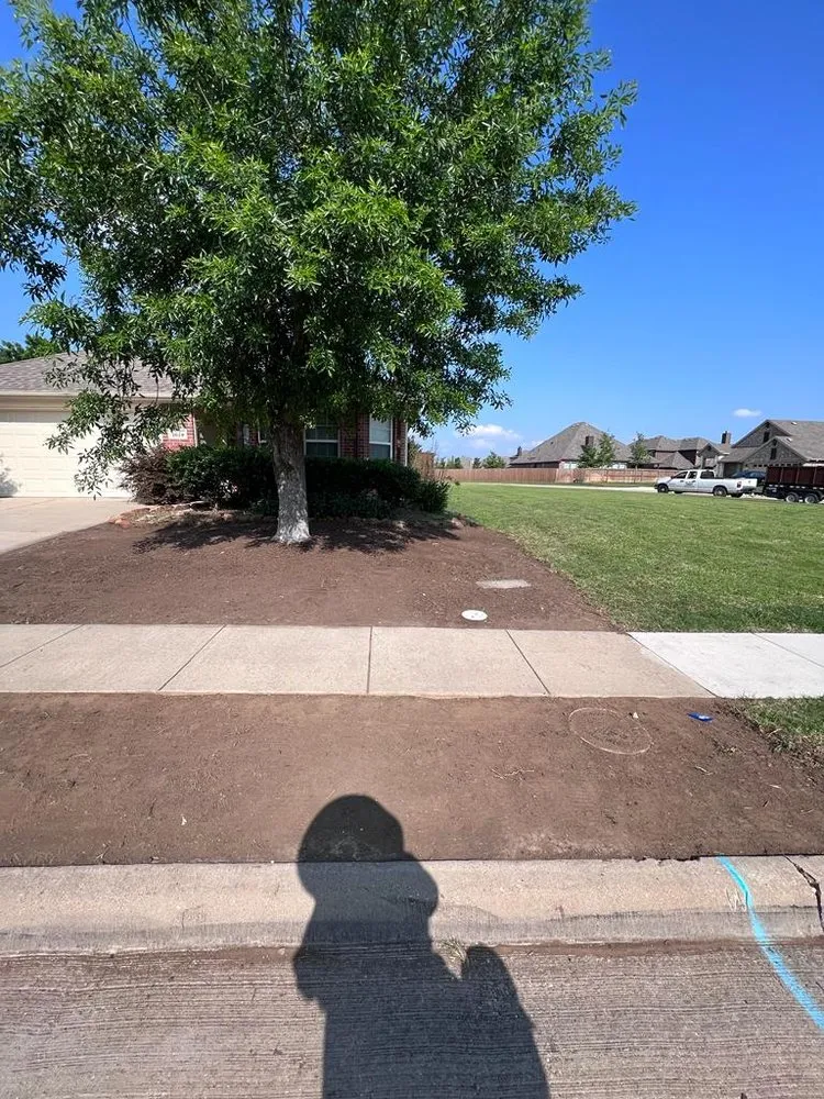 Professional yard maintenance experts serving Waxahachie, TX - Mr Ortiz Lawns