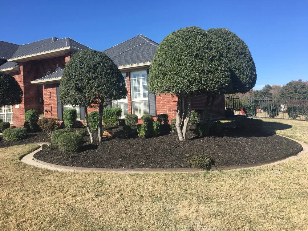 Top-rated outdoor landscaping with custom design in Waxahachie, TX by Mr Ortiz Lawns