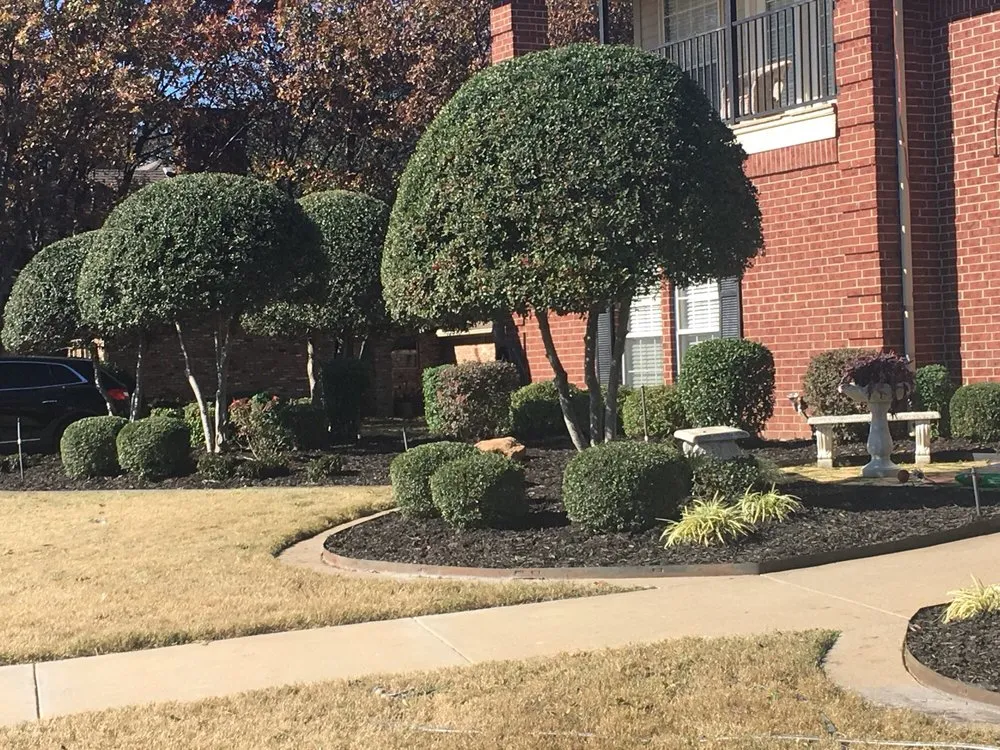 Expert lawn mowing service with custom design in Waxahachie, TX by Mr Ortiz Lawns