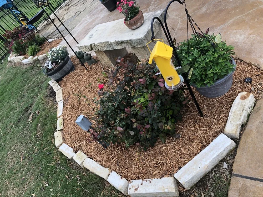 Expert yard maintenance for outdoor upgrades across Waxahachie, TX - Mr Ortiz Lawns
