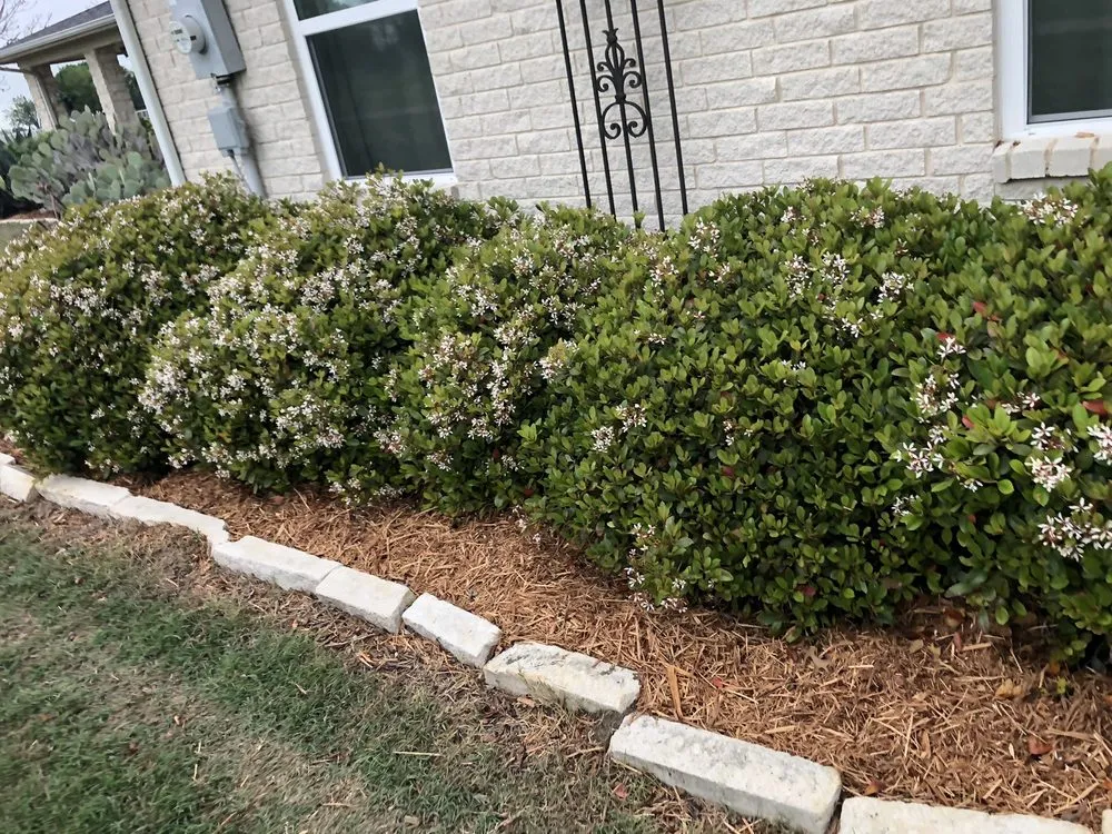 Professional landscaping services for outdoor upgrades across Waxahachie, TX - Mr Ortiz Lawns
