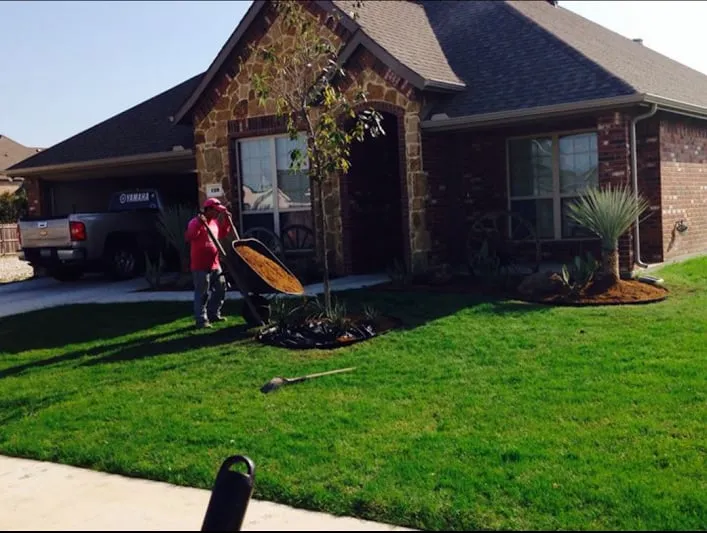 Expert residential landscaping in Waxahachie, TX by Mr Ortiz Lawns