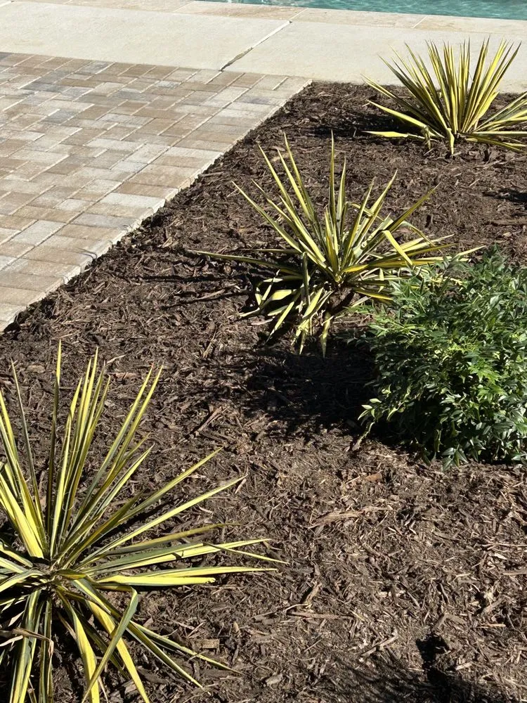 Affordable landscape installation in Charlotte, NC - Mr. Outdoor Living