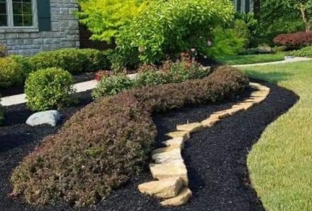 Expert yard cleanup service in Kenosha, WI - Mr Pancho Diaz Landscaping