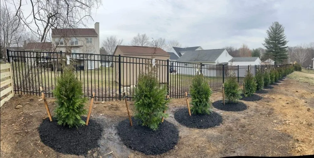 Professional landscape installation for beautiful yards in Kenosha, WI by Mr Pancho Diaz Landscaping