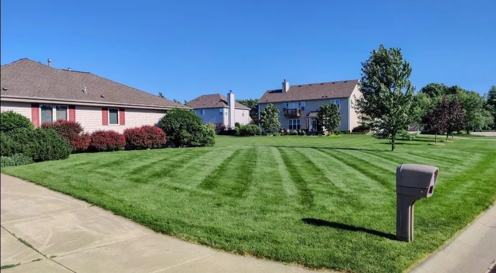 Professional yard cleanup service in Kenosha, WI by Mr Pancho Diaz Landscaping