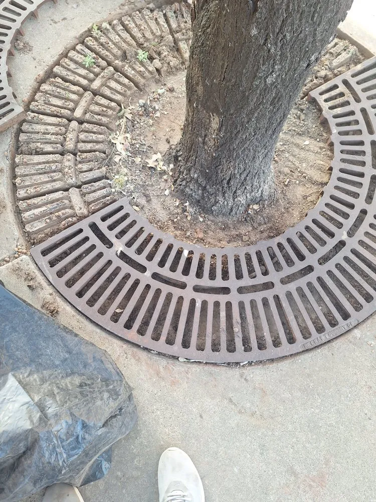 Trusted landscape design for residential properties in Slide, TX by Mr. Pitts Service