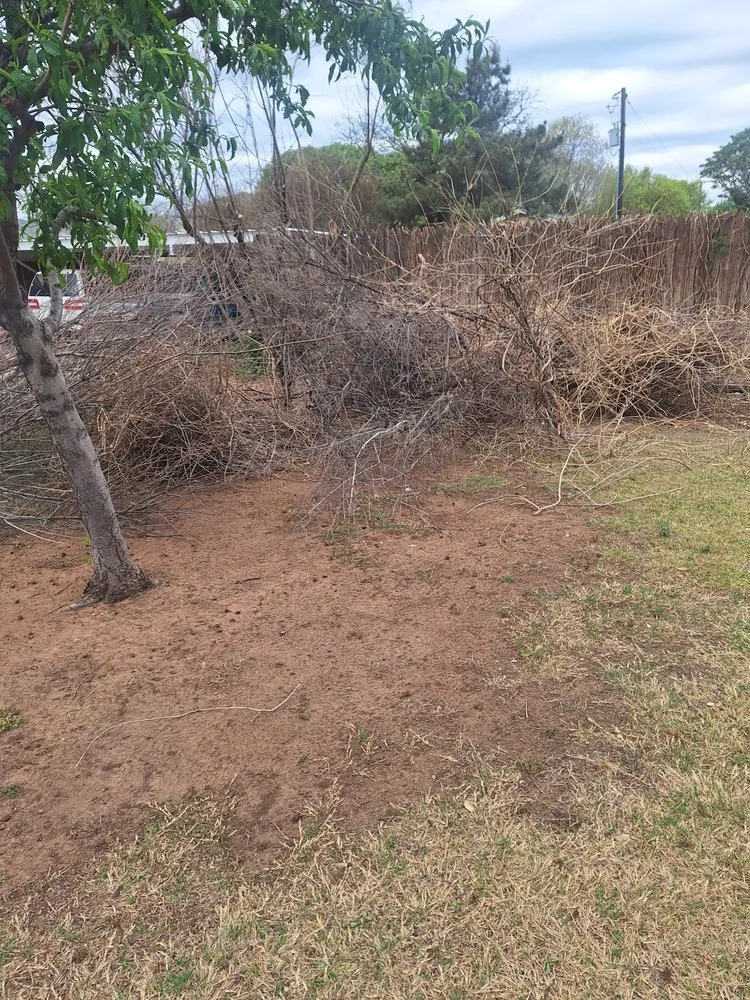 Local landscaping services experts serving Slide, TX - Mr. Pitts Service