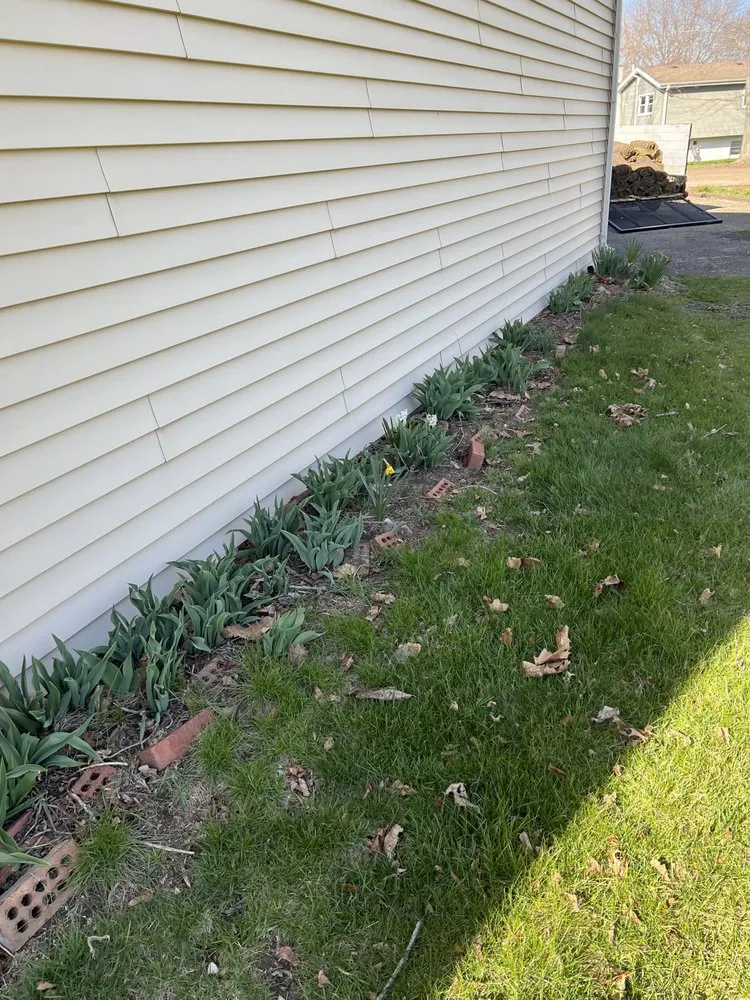 Professional yard cleanup service for homes across Aurora, IL - Mr Power wash and landscaping