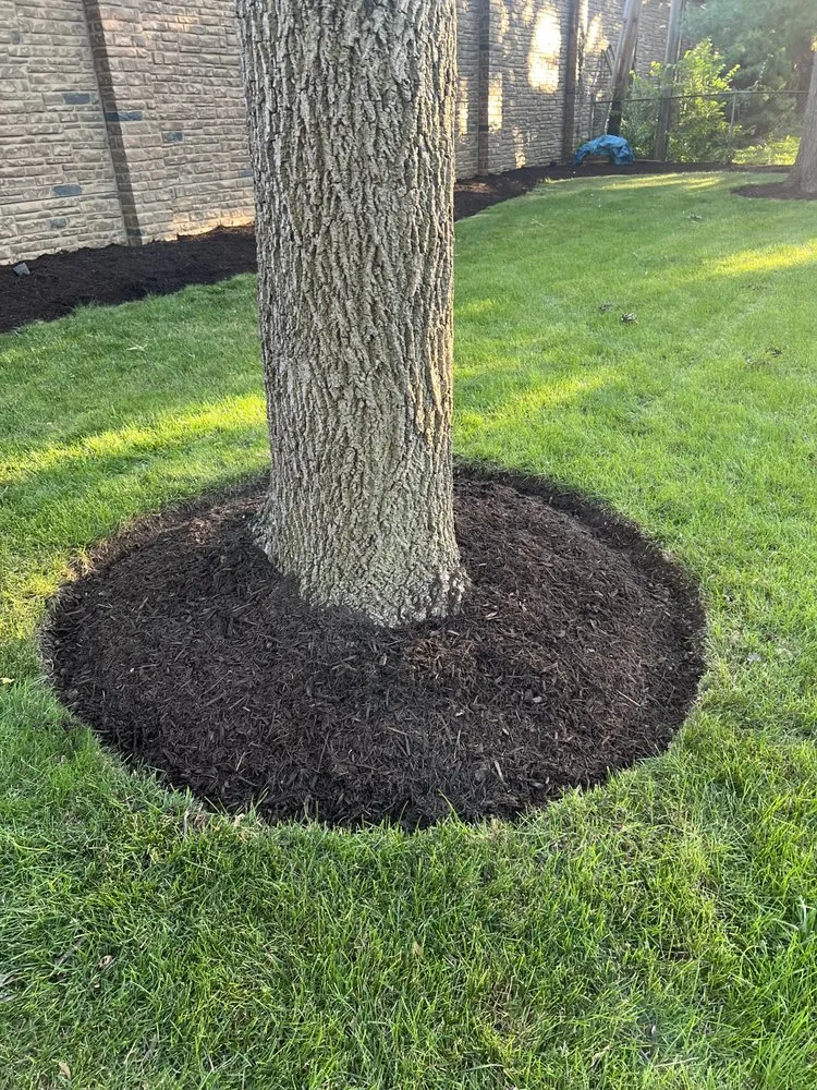 Custom landscaping services in Aurora, IL by Mr Power wash and landscaping