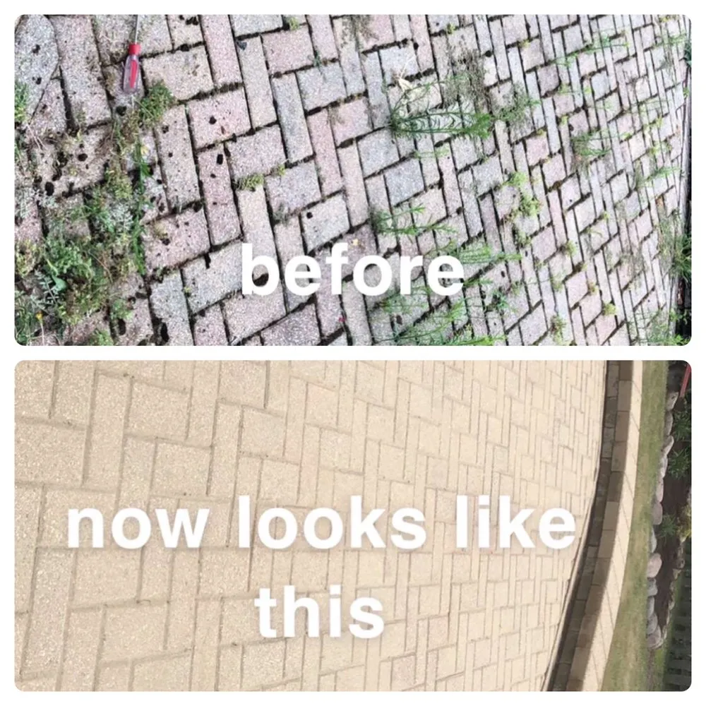 Trusted yard cleanup service in Aurora, IL - Mr Power wash and landscaping