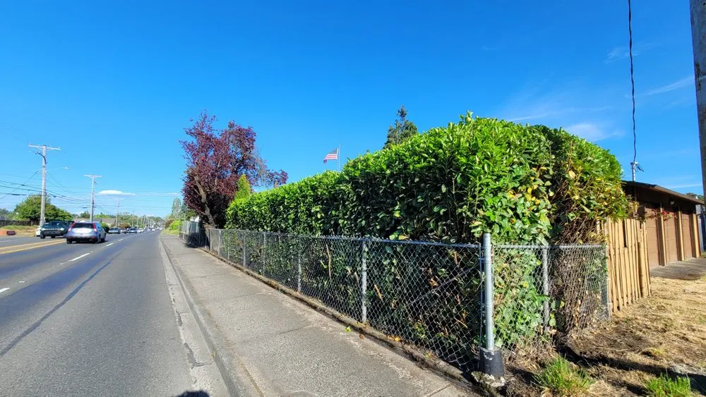 Top-rated yard cleanup service for beautiful yards in Spanaway, WA by Mr. P's Lawn Care Service